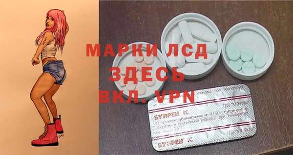 гидра Красноперекопск